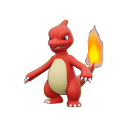 photo of Charmeleon