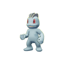 photo of Machop