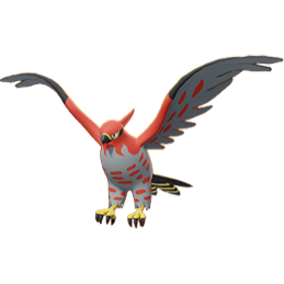 picture of Talonflame