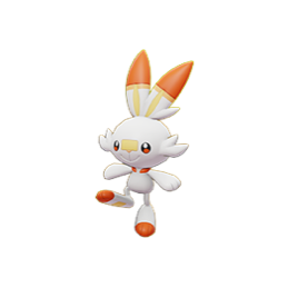 photo of Scorbunny